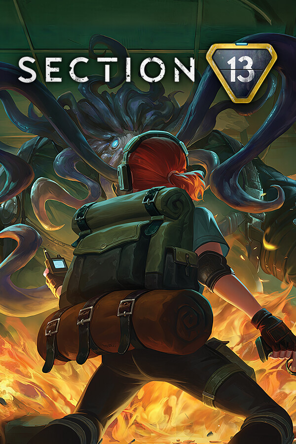 Section 13 Steam (PC)